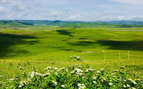 12.家庭之情是父亲举起的手掌，颤抖的嘴唇和一张讨厌钢铁的生气的面孔。