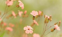 有哲理的亲情句子说说心情