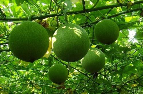 11.总是需要填充一些颜色。大或小，一场雨，在地上。四月之后，那是海浪的声音。一阵风吹进我的耳朵，很快，阳光在树上走来走去，带来了一束树叶。有鸟鸣声。鸟儿在微风中鸣叫，街道反射在街道上，民谣在民谣中歌唱。在地球之上。一种聆听，捕捉到阳光和风，以及岁月的力量。