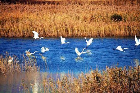 12.四月份的迫切迫在眉睫。为了欢迎四月的到来，地球做了太多宏伟的准备。您会看到，荒野中的植物正在疯狂地交汇，山脉和河流已从过去的巨大寂静中改变了，树林中的生物正在活跃地跳跃。