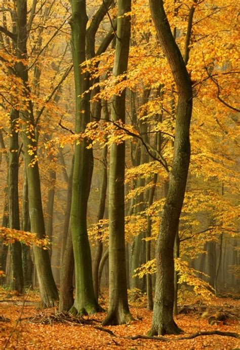 12.让田野和房屋尽可能从邻居那里借钱，然后回到乡下。在自己的生活中寻找更多的后代，谁知道这会更困难。