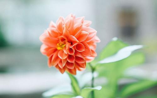 10.我昨天看了那部电影。终于哭了。后来我想到了。原来我在哭是因为家人的爱,而不是爱。