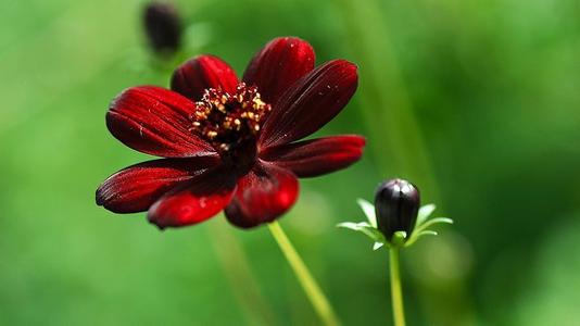 12.我很自私,无论是爱情,友情还是家庭亲情,都是一样的。