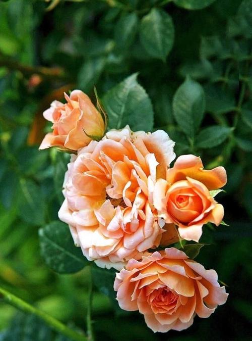 关于唤醒的句子