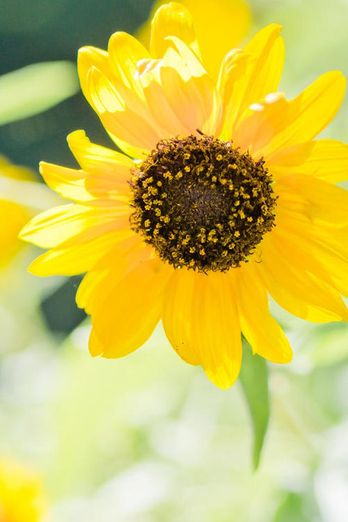 10.每个班级都有一群人。寄回试卷后，当看到朋友的分数时，他们笑了，但他们之间的关系始终是最牢固的。