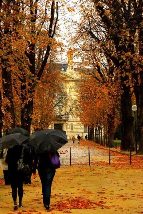 11.高贵的母亲在这里，浪子并不感到寒冷。