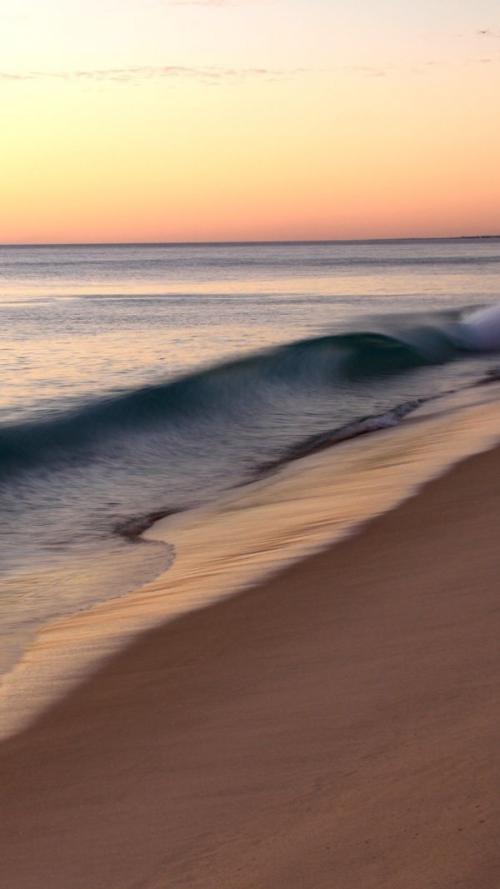 10.风从南方吹向另一侧。季新尧尧，母亲的劳动。