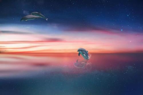 10.任，她必须反复经历伤害她成长的事情。没有人喜欢一个人呆，但他们不想再失望了。