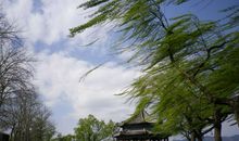 形容风大的句子