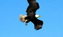 鼓励自己坚强的励志句子