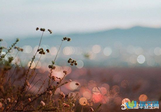 10.遗憾是一种令人精神疲惫的情绪。后悔是比损失更大的损失，比错误更大的错误，所以不要后悔。