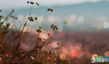 表示要珍惜不要让后悔的句子