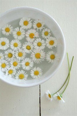 12.不管种子多么好，不播种它们都不会结出果实。