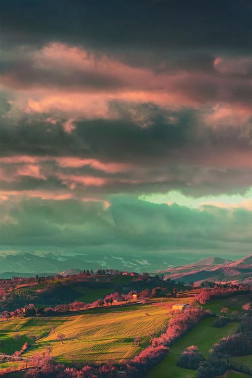 11.让自己的孩子发光是父亲的主要缺点。