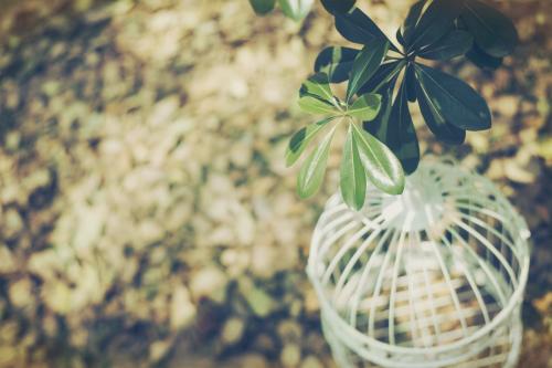 10.我不是一个透明的人,我可以看到你对她说的甜言蜜语。