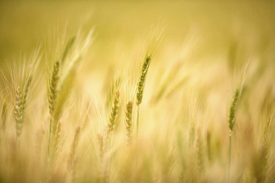 10.这些足迹和眼泪我永远不会忘记。珍惜眼泪,珍惜家庭感情,珍惜母爱,我想用自己的实际行动回报母亲,让幸福的花朵在母亲的照顾下,源于母亲的无私无尽的爱!