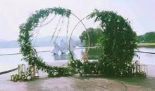 婚姻让我很后悔的句子