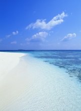 11.让我们尽可能多地向亲人表达自己的想法，流下所有的眼泪，而记忆不再是生活的重担。清明节就在这里，让我们再次体验世界的爱与温暖，微笑并再次扬起生命之帆。