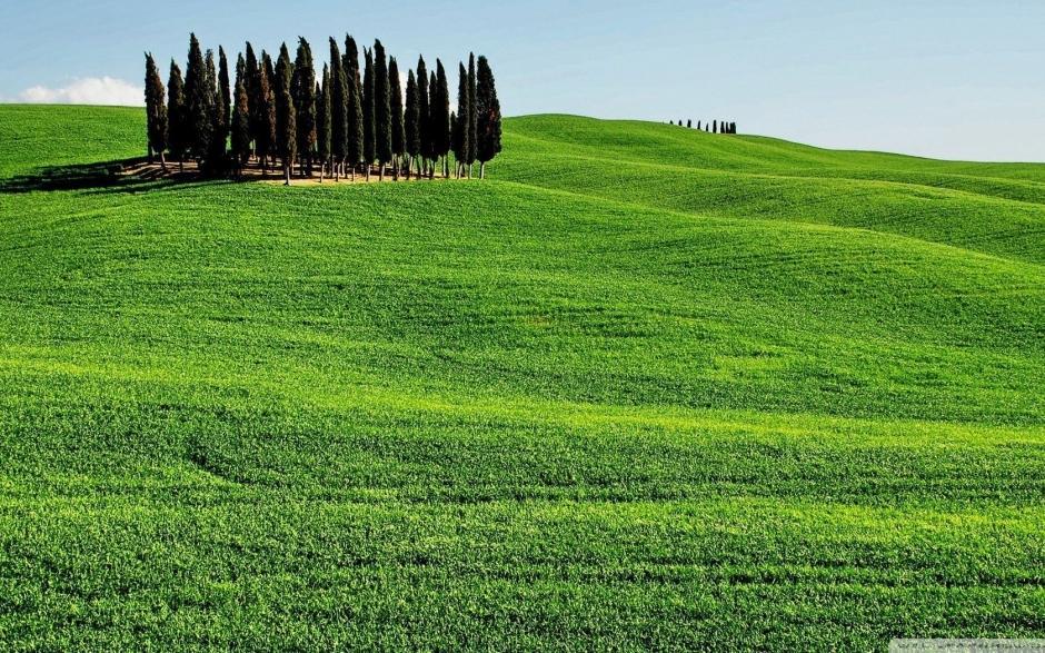 10.我怀着感激之情和感恩之心，一直感谢父母给予我的养育之恩，而感激之情并不需要惊天动地。