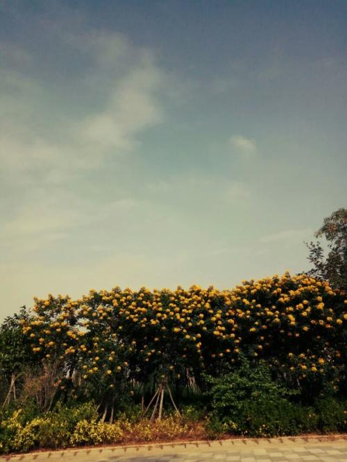 11.什么是家庭感情？她是第一次付款，但这也是永久性的。这是一种无私感，可以感受到责任，然后将责任转变为习惯。