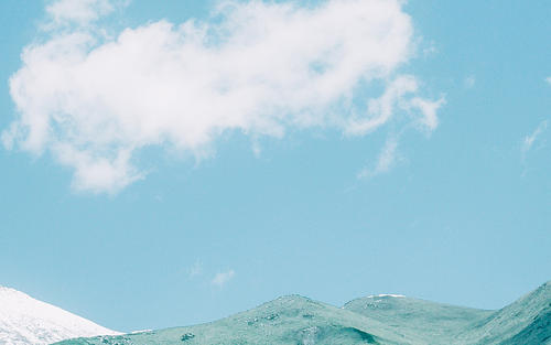 12.彼此的爱是您仅在花丛中所爱的一种，它将成为您的最终目的地。