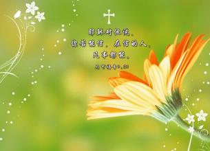 描述家庭感情的句子