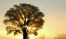 假日跟儿子一起幸福开心的句子