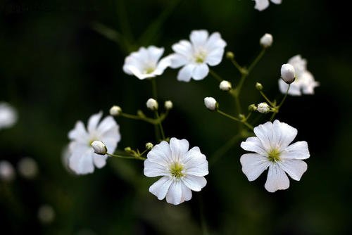 10.持续的家庭之爱是温暖的港湾，您将永远不会放弃自己的幸福。