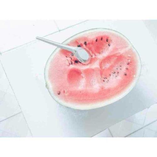 12.鸟类需要蓝天才能表现出他们的英雄主义,蜘蛛需要在世界各地编织网,人们需要家人的关怀才能维持生命。