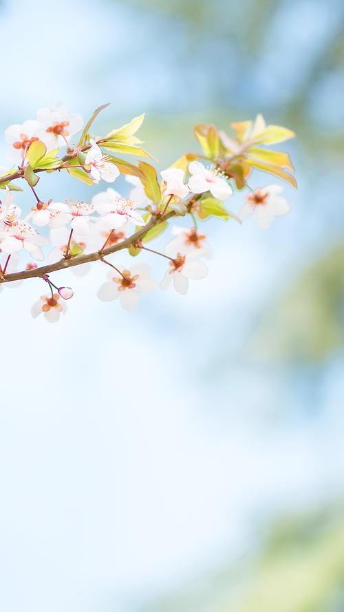 10.我们一直清楚地知道，家庭，友谊和爱是一个人一生中最大的财富。没有亲戚的关心和爱，没有情人的爱，没有朋友之间的爱，那么我们如何体验呢？爱的存在，这些都是幸福。