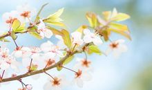 有关亲情的煽情的句子