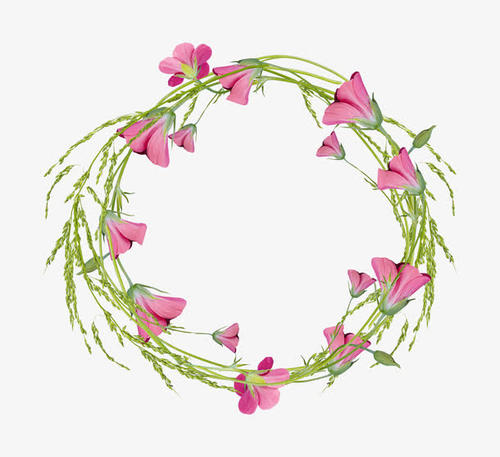 11.家庭感情是治疗疼痛的绝妙药物。有了她的安慰,您就可以减轻所有的痛苦。