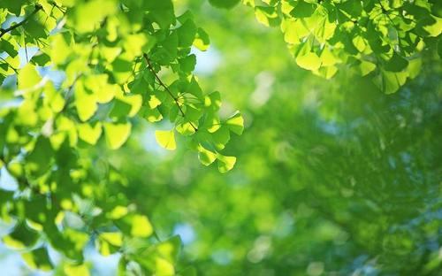 11.如果生气一分钟，您将不会获得任何快乐，但同时也会失去六十秒的快乐。