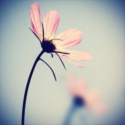 11.亲情是您内心深处不可熄灭的火焰，照耀着您永无止境的进步之路。