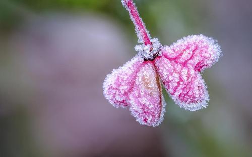 10.回忆家庭生活，在亲人的眼中，您将是一个随意的表情，一个随意的动作
