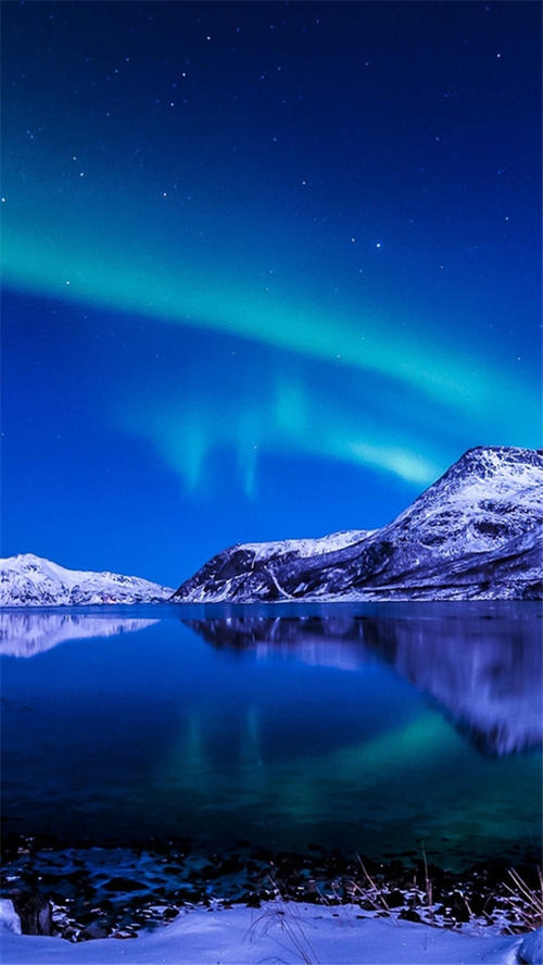 12.家庭亲情就像蜂蜜一样，带给您甜美的味道；