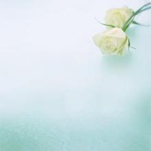 10.家庭的感情就像一颗美丽的星星，永远在我的心中闪耀。