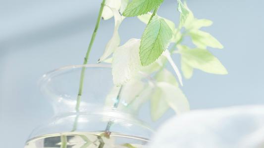 10.婚姻三部曲：第一年，男人在说话，女人在听；第二年，女人在说话，男人在听；第三年，男人和女人在一起聊天，邻居在听。