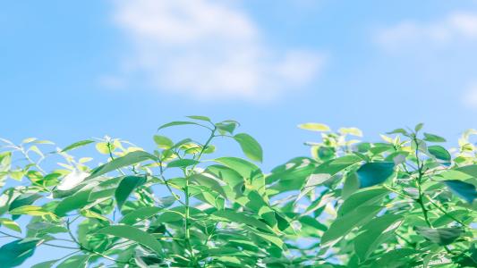 11.您大一岁。你一定越来越高了。老师认为，您还必须比以前更加明智和礼貌。胆小的孩子现在将主动与同龄人互动和合作。会说话的孩子肯定会举手说话。