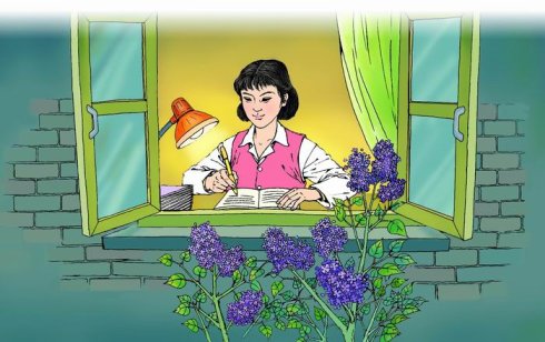 关于赞美老师的审美句子