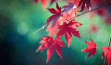 秋天户外活动开心的句子