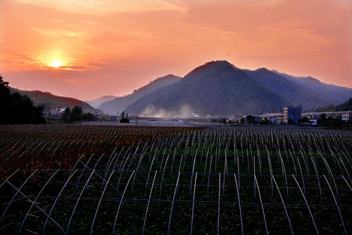 10.在一个人的一生中，总会有一两个最好的朋友可以谈论所有事情。