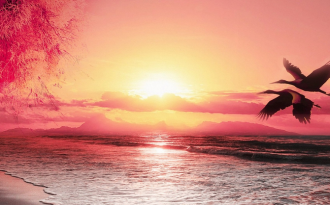 11.家庭感情是世界上最大的力量。无论您是什么人，您的家人总是在这里。