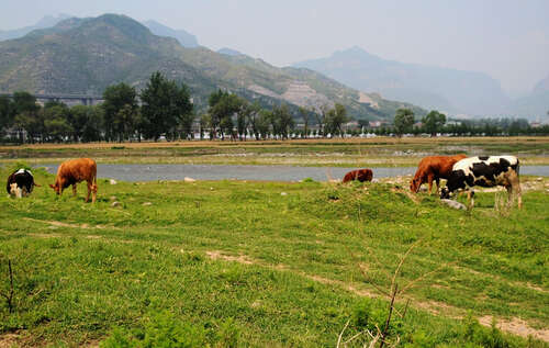 20个描述故乡的句子