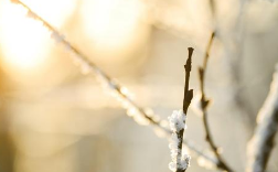 11.最好将失望和委屈之类的东西藏在心中。那些了解您的人不必解释，而那些不了解您的原因也可以解释。