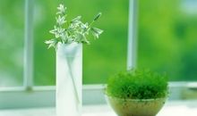 让人记起亲情的句子