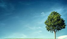 形容亲情无价的句子