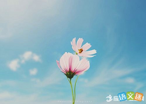 10.当奉献成为一种责任时，这是一朵迷人的花，盛开在美德树上，它可以扭转事物，唤起曙光，让每一颗真诚的心融为一体，成为最美丽，最长的彩虹。遍布天空。