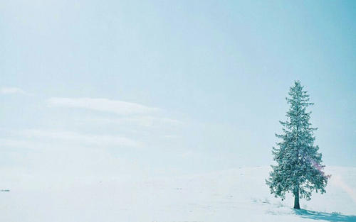 12.只要足以使您感到困惑的任何事物，就足以毁了您。温柔是疾病，深爱是致命的。