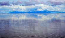 采摘水果开心的句子